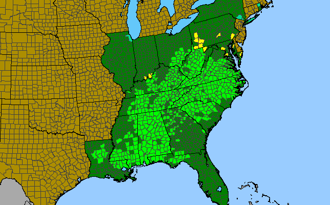 The range of Oxydendrum arboreum