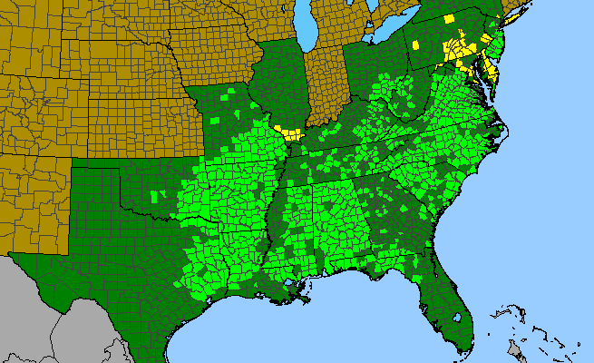 The range of Pinus echinata