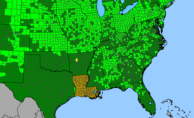 The range of Prunus americana
