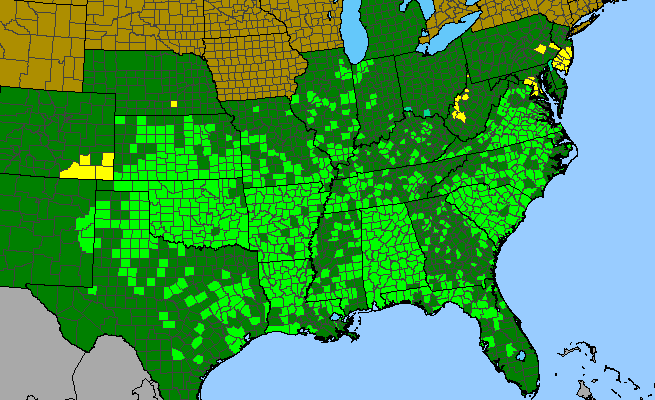 The range of Prunus angustifolia
