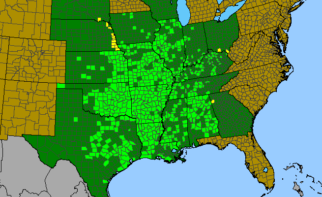The range of Prunus mexicana