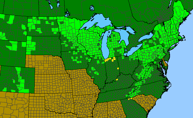 The range of Prunus pensylvanica