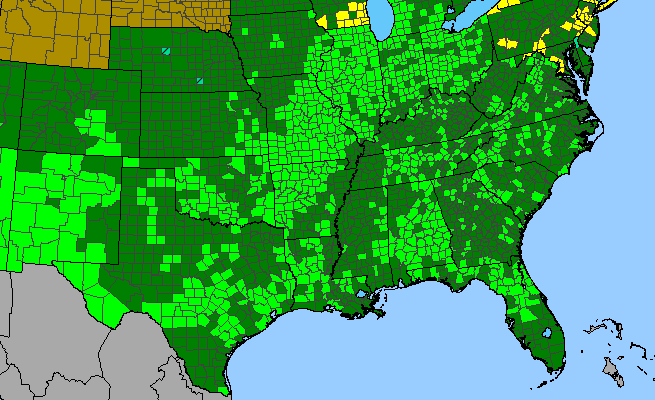 The range of Ptelea trifoliata