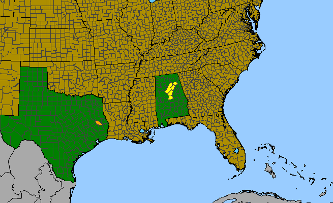 The range of Quercus boyntonii