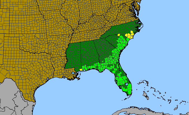 The range of Quercus elliottii