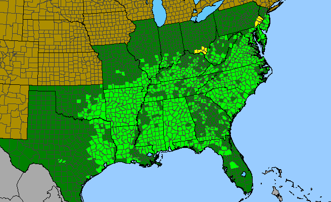 The range of Quercus falcata