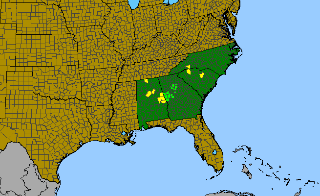The range of Quercus georgiana