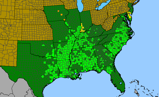 The range of Quercus lyrata