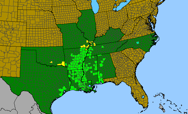 The range of Quercus texana