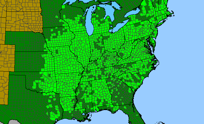 The range of Quercus velutina