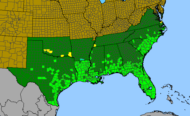 The range of Quercus virginiana