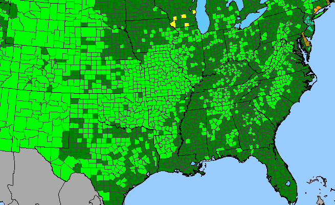 The range of Rhus aromatica