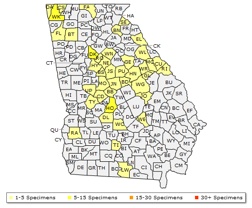 The Georgia range of Rhus aromatica