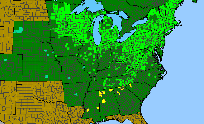 The range of Rhus typhina