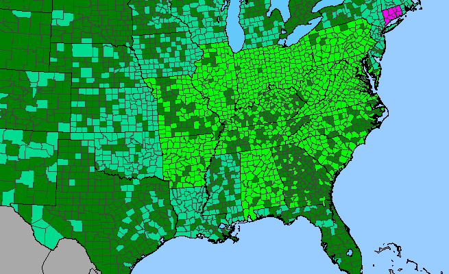 The range of Robinia pseudoacacia