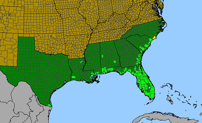The range of Sabal palmetto