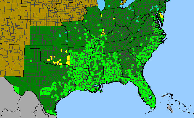 The range of Taxodium distichum