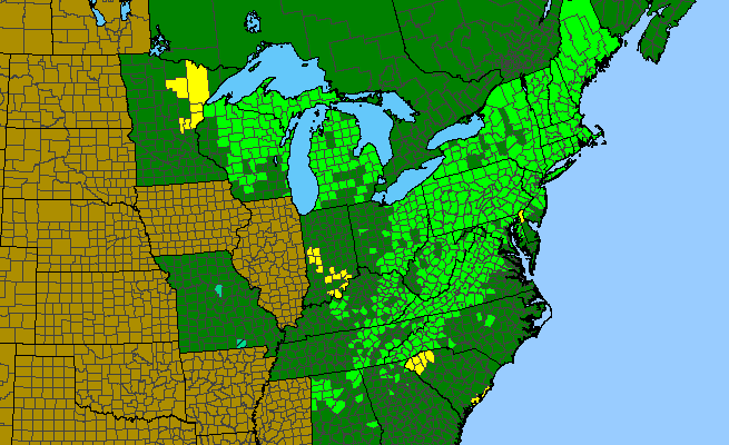 The range of Tsuga canadensis