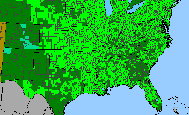 The range of Ulmus americana