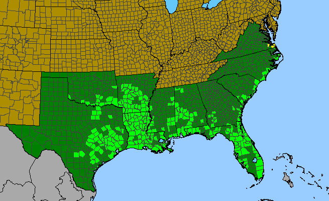 The range of Zanthoxylum clava-herculis