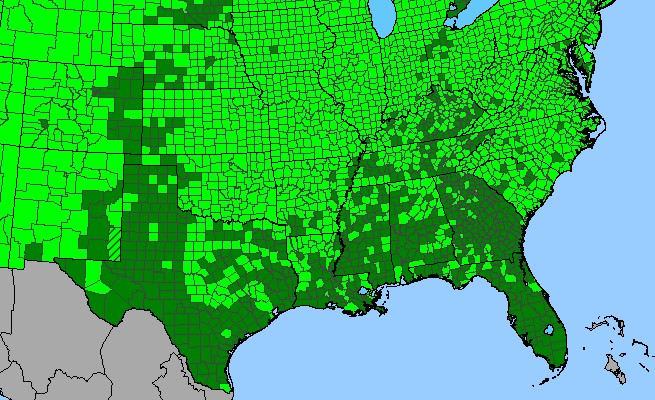 The native range of Achillea borealis