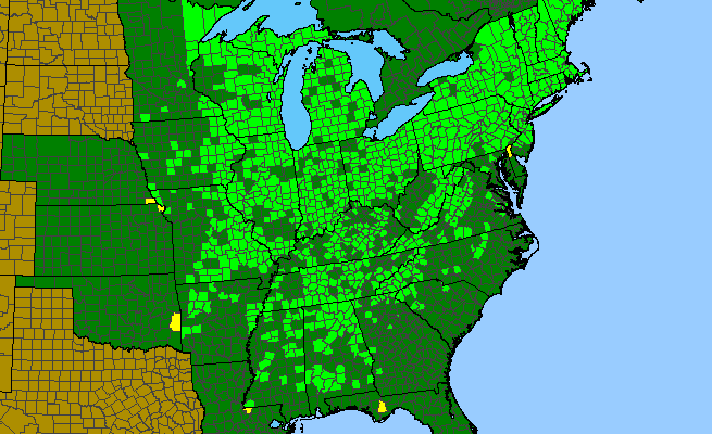 The range of Actaea pachypoda