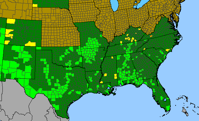 The range of Actaea pachypoda