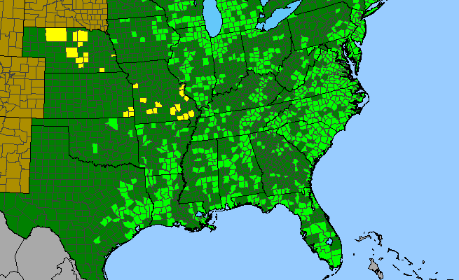The range of Agalinis purpurea
