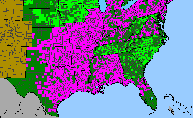 The range of Allium canadense