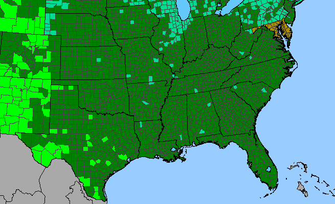 The range of Amaranthus powellii