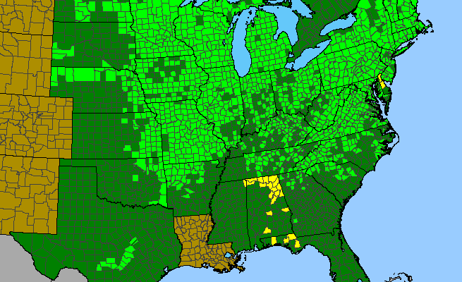 The range of Aquilegia canadensis