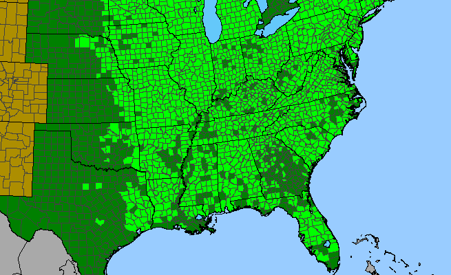 The range of Arisaema triphyllum