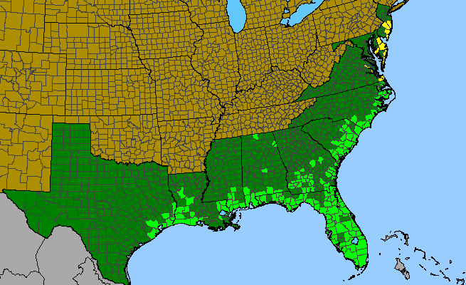 The range of Asclepias lanceolata