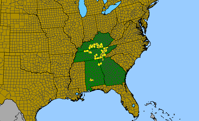 The range of Aureolaria patula