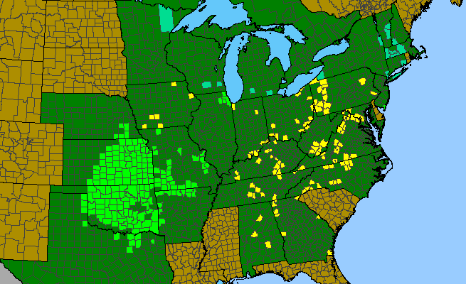 The range of Baptisia australis var. australis