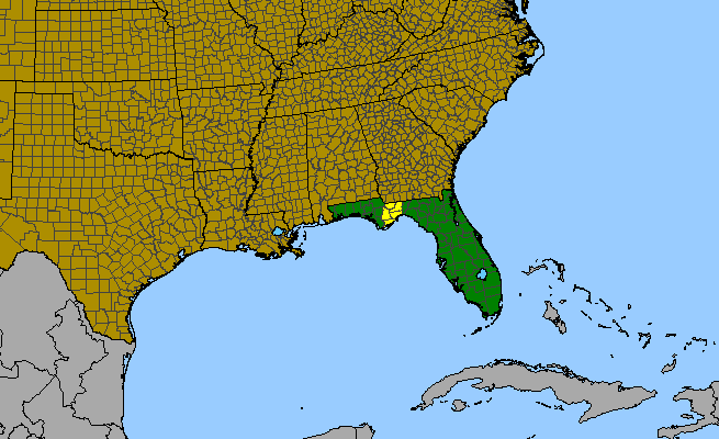 The range of Baptisia simplicifolia
