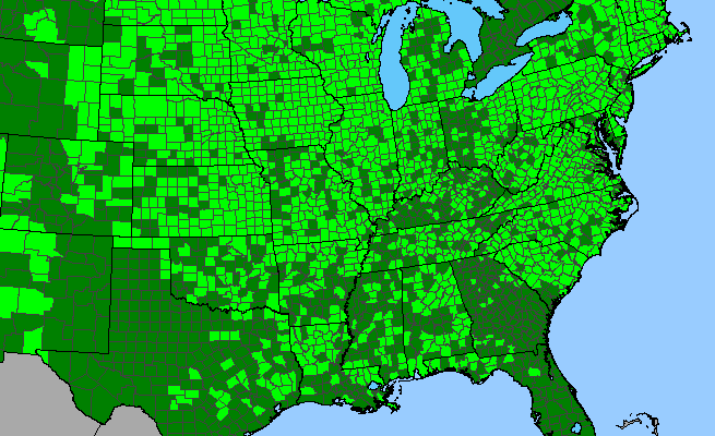 The range of Bidens frondosa