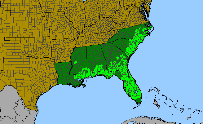 The range of Bigelowia nudata
