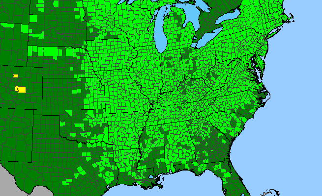 The range of Botrypus virginianus
