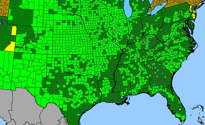 The range of Brickellia eupatorioides