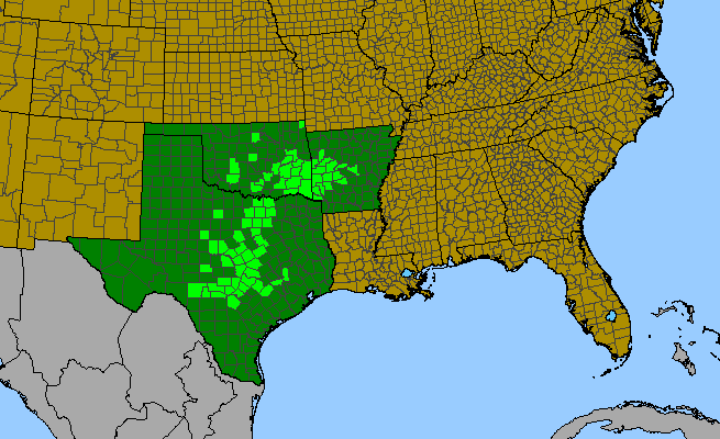 The range of Callirhoe pedata