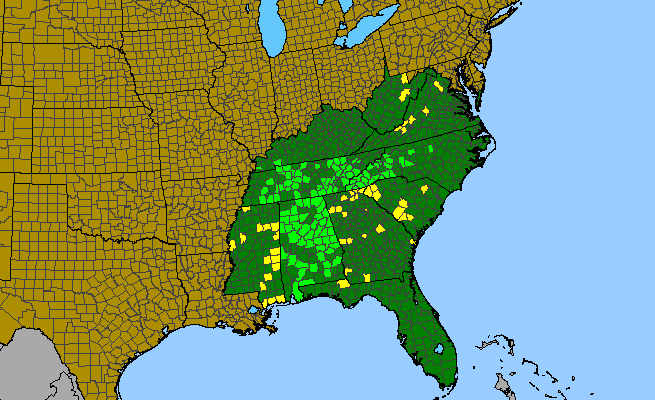The range of Calystegia catesbeiana