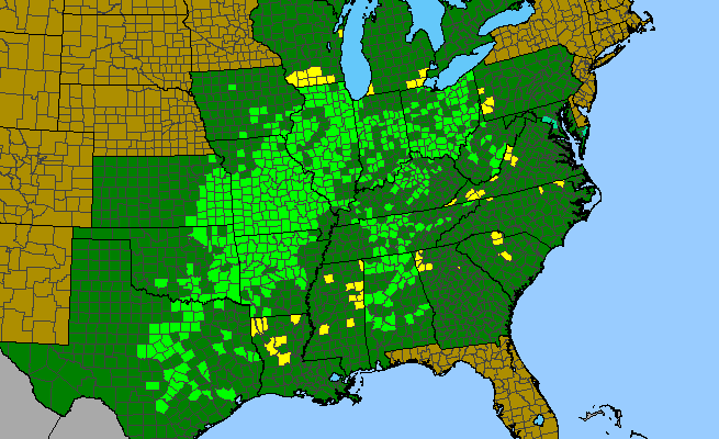 The range of Camassia scilloides