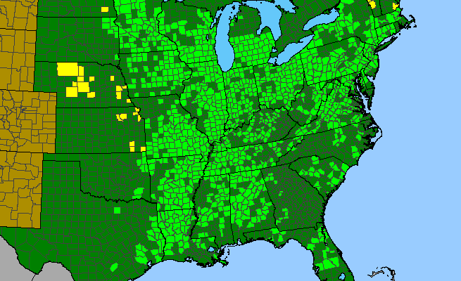 The range of Cardamine bulbosa