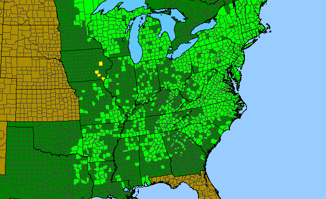 The range of Carex crinita