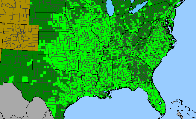 The range of Chamaecrista fasciculata