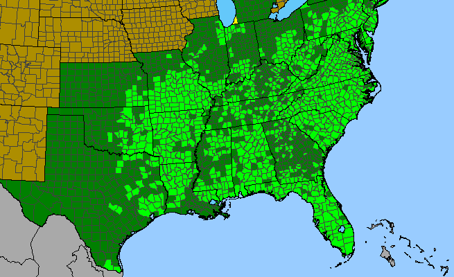 The range of Chamaecrista nictitans