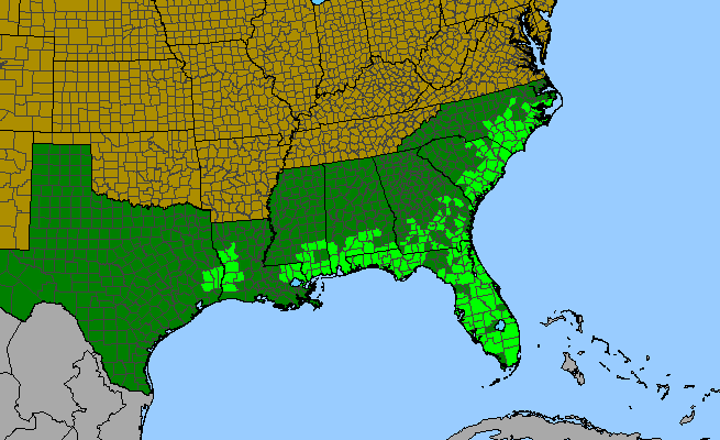 The range of Chaptalia tomentosa