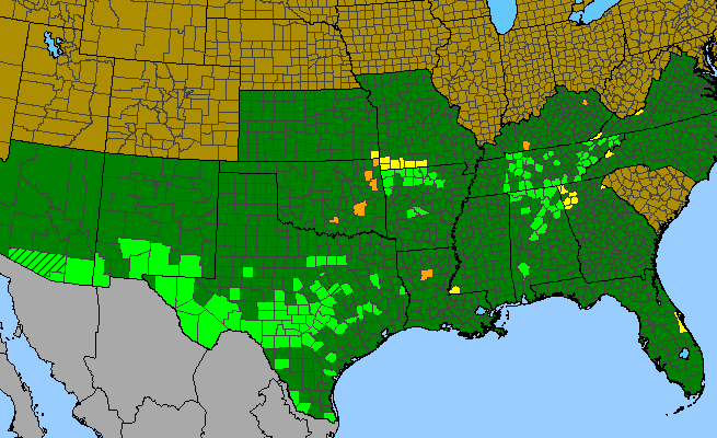 The range of Cheilanthes alabamensis