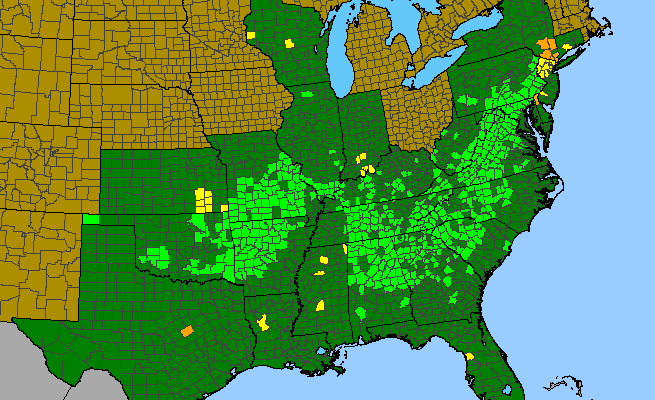 The range of Cheilanthes lanosa
